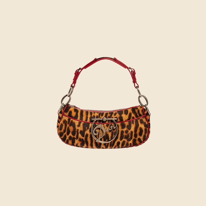 Christian Dior 2010 Leopard Print Large Logo Shoulder bag · INTO