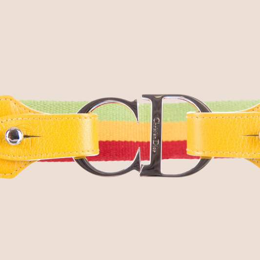 CHRISTIAN DIOR RASTA "CD" BELT